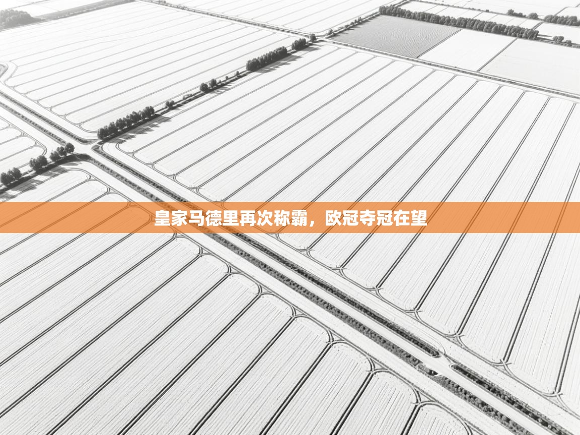 皇家马德里再次称霸，欧冠夺冠在望  第1张