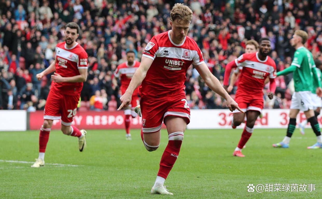 爱游戏官方入口-米德尔斯堡主场击败对手，赢得关键胜利