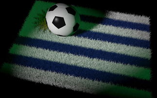 爱游戏登录入口-世界女足盛事，赛场争奇斗艳